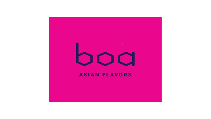 Boa logo