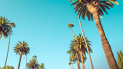 Find out more about special rates in Los Angeles; image used for HSBC Philippines Credit Card Offers - Cathay Pacific