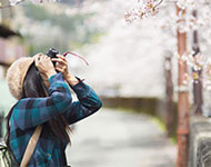 Discover Japan: see special offers