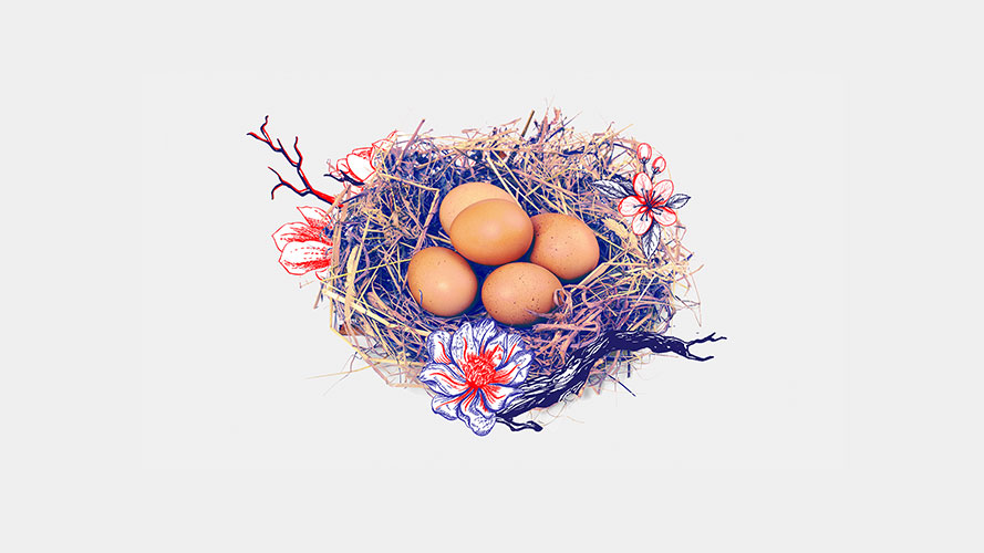Nest and eggs