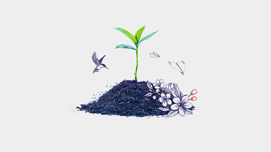 Plant and bird